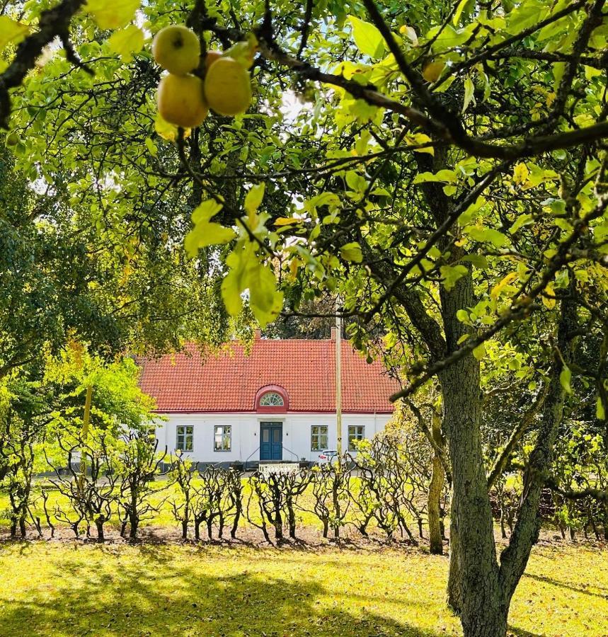 Aespoegarden Bed & Breakfast Klagstorp エクステリア 写真