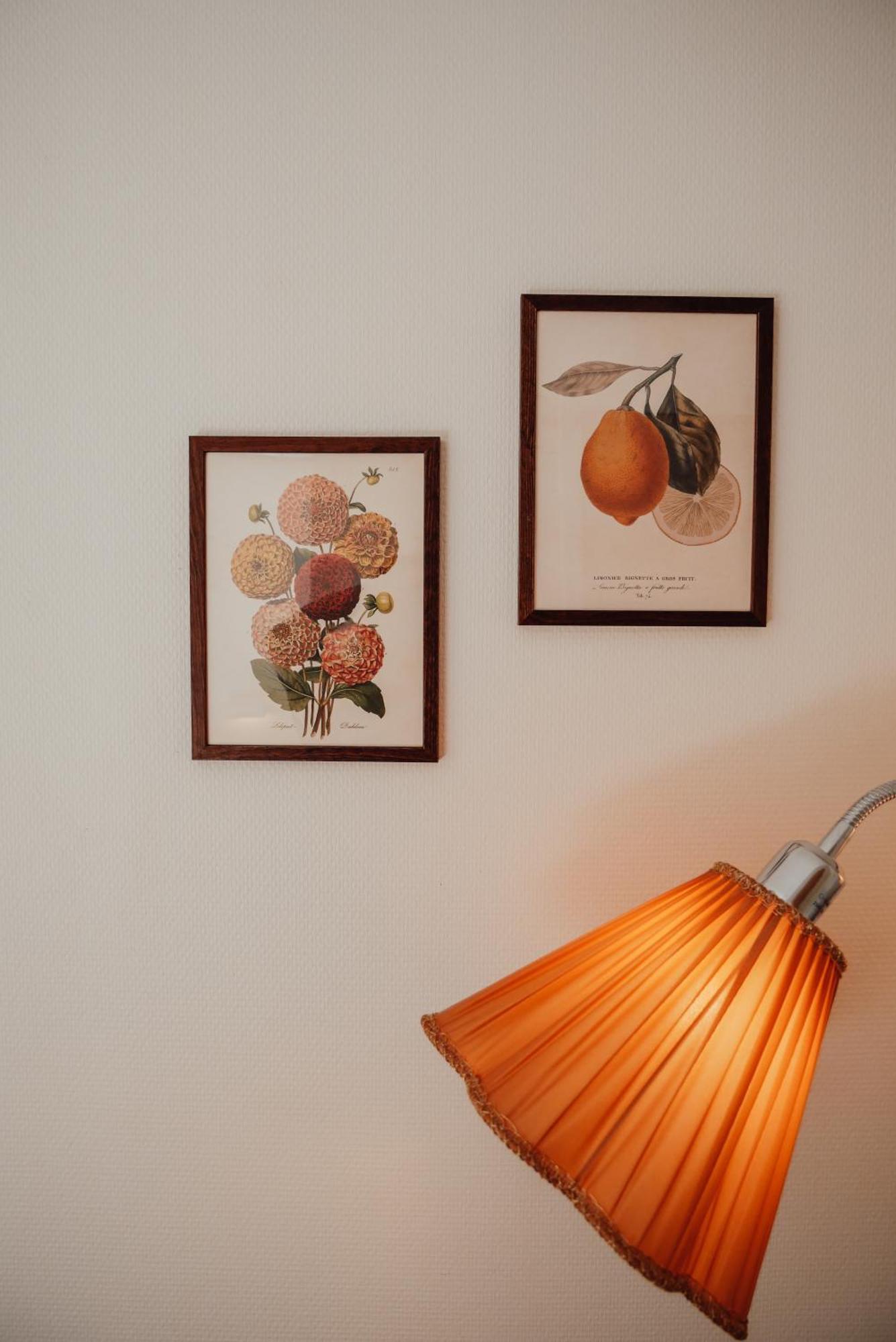 Aespoegarden Bed & Breakfast Klagstorp エクステリア 写真