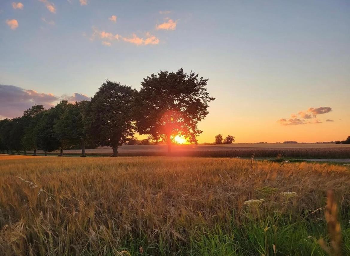 Aespoegarden Bed & Breakfast Klagstorp エクステリア 写真